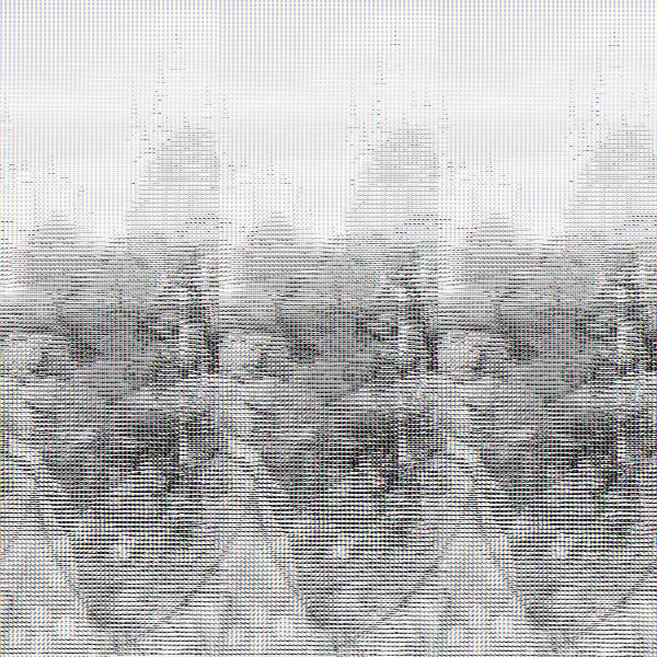 dytiachi-7